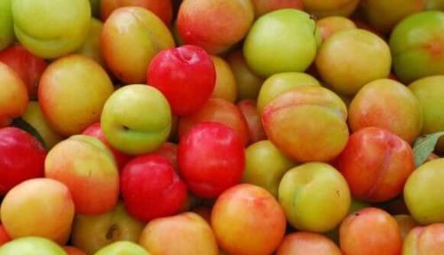 很受歡迎的幾種食物，不妨常吃，潤膚養顏，對抗衰老，越吃越好