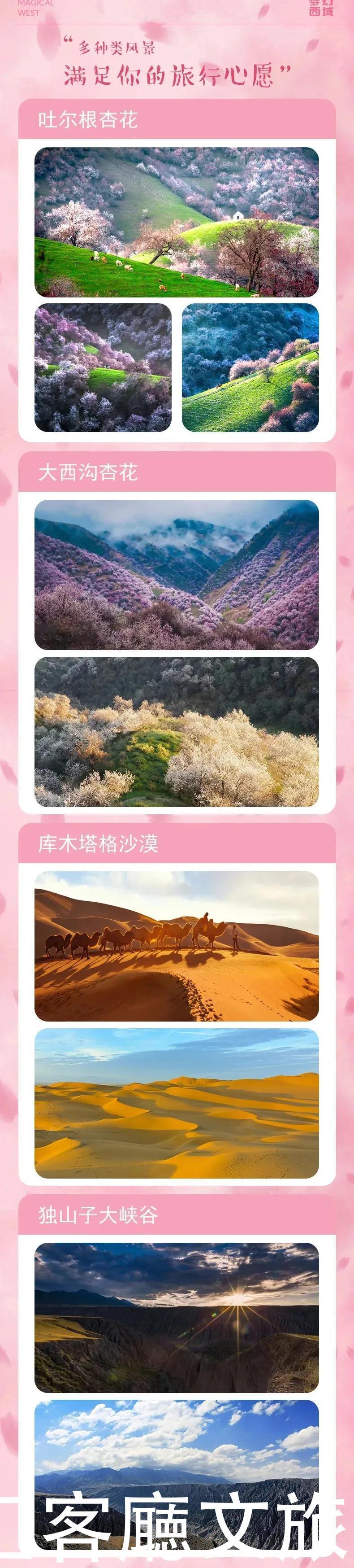 老年|趁春光,打卡新疆最美花海、草原、湖泊、古城、村落……