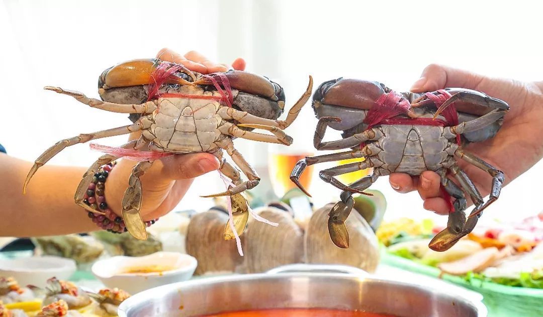 集渔|鲜活的海鲜,无限量的小吃,都能勾起吃货的馋虫