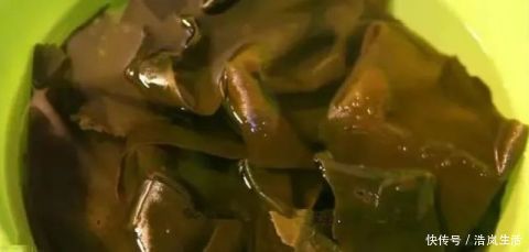 老少皆宜|豆腐这样吃,营养更翻倍!配上“黄金搭档”,全家老少吃得健康