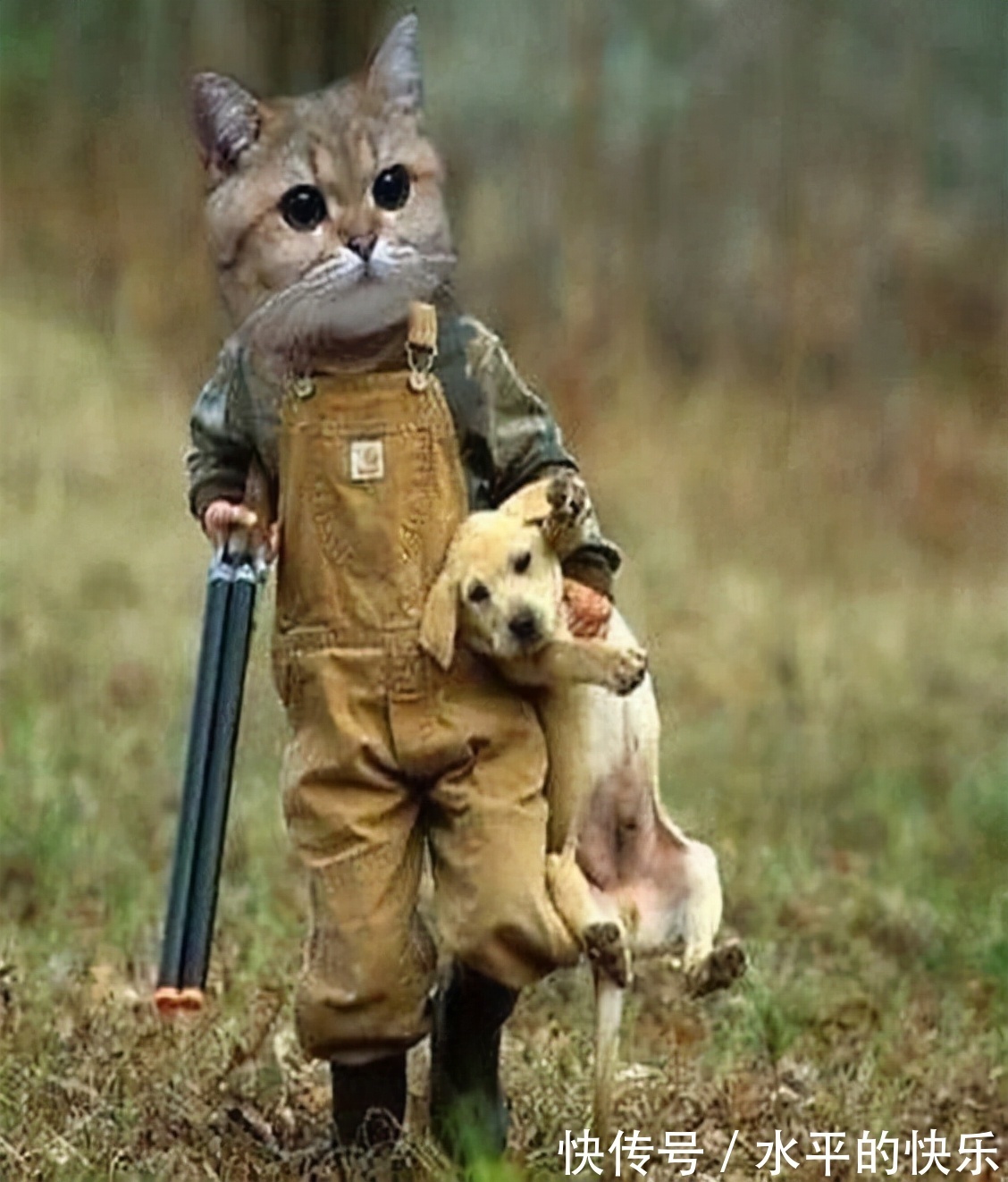 |开心一刻:吃饭不宜看,容易喷饭的搞笑图片,喜欢的请收藏