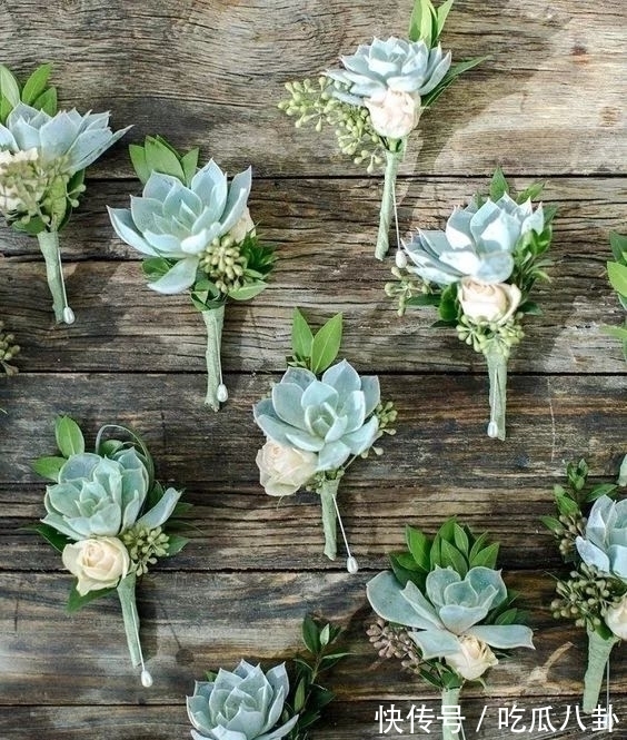 耳环 不是所有首饰都是珠宝的,多肉做成首饰,颜值完全秒杀大牌首饰!