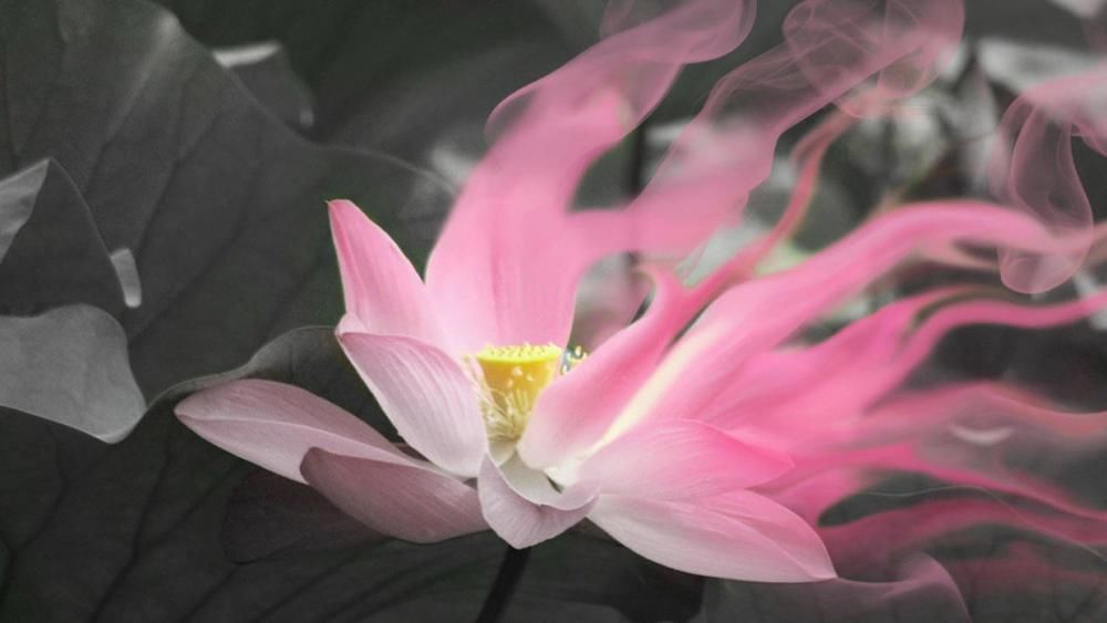  消愁|自饮长醉醉不醒，万古消愁愁难解