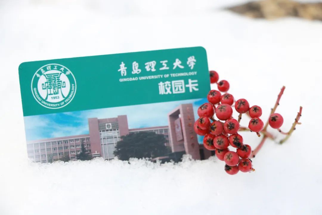 青岛理工大学|今日小雪｜青岛理工大学的雪，你还记得吗？