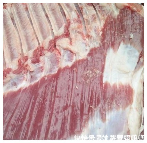 炒肉时用“前腿肉”，还是用“后腿肉”？只有少数人选对了
