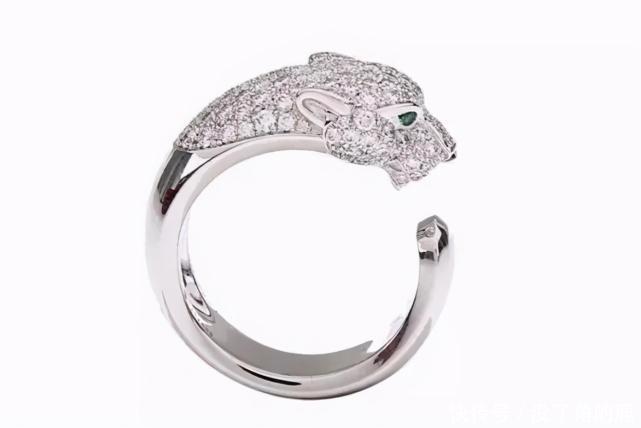 豹子|卡地亚的豹子宝格丽的蛇,大牌为什么要和凶残动物搞组合