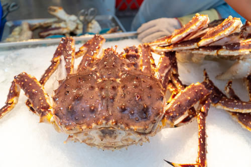  自助餐|帝王蟹等美食应有尽有，就是海鲜自助餐，根本选择不过来