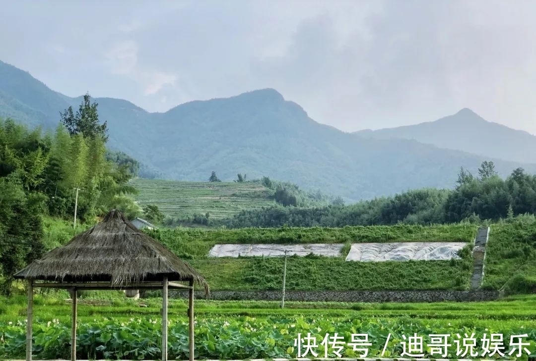 桃花源#《向往5》录制地点现状:蘑菇屋一片狼藉,图书馆沦为杂物间