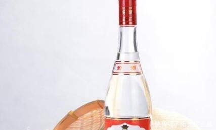 超市这4种酒无人问津,其实都是性价比超高的纯粮酒,遇见别错过