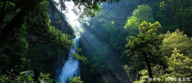 宝库|湖南夏日的“避暑秘境”，人少景美，被称“绿色宝库”