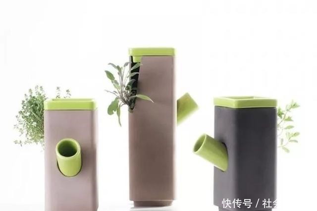 外国人发明的“室内小菜园”,一年四季长爆盆,太神奇了……!