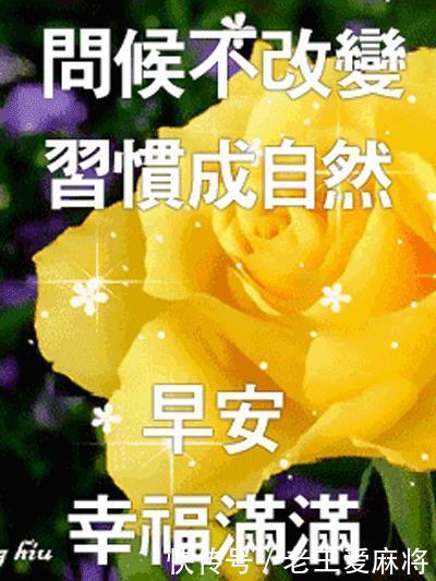 孤独|没有人喜欢孤独,但他们不喜欢失望