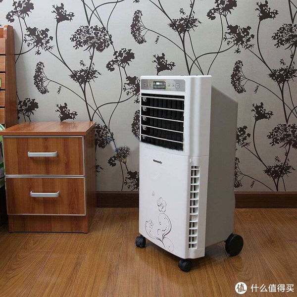 音响|别信不靠谱的种草了！这6个网红家电很鸡肋，留着无用，弃之可惜