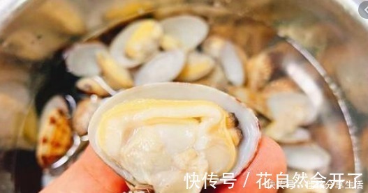 米醋|洗花蛤万万不可只加盐,渔民教你土方法,花蛤疯狂吐沙,很实用