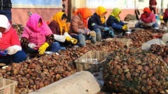 闭壳肌干制|提醒中老年花生瓜子要少吃,多吃这几物, 胜过天天去跑步