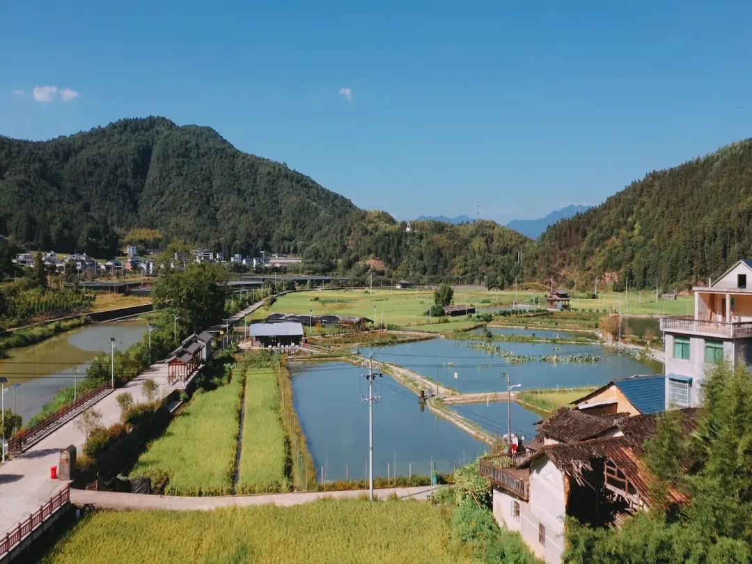 庆元周边的神仙古村，周末隐居刚刚好！|庆元村落 | 覆盆子