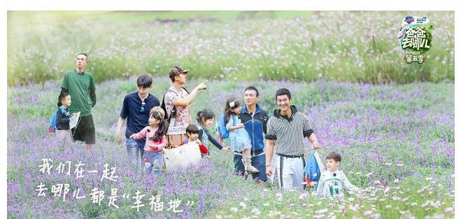 各大衛視競爭背后，主持人成關鍵因素：地方臺和央視的區別多大