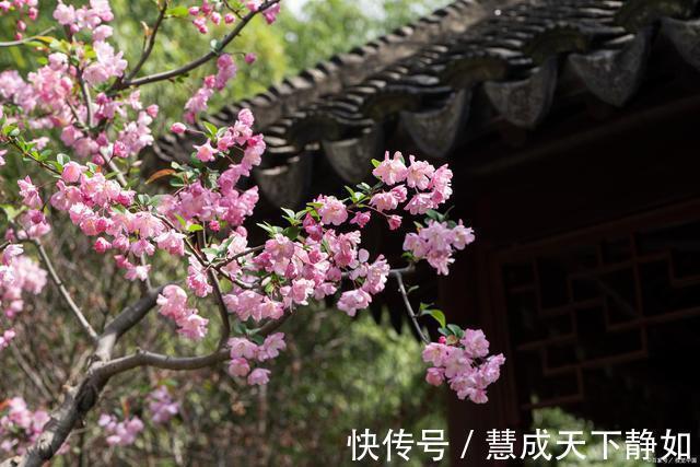 汉秦@古诗七律荡漾涟漪精气神,澄莹明澈醉诗琴