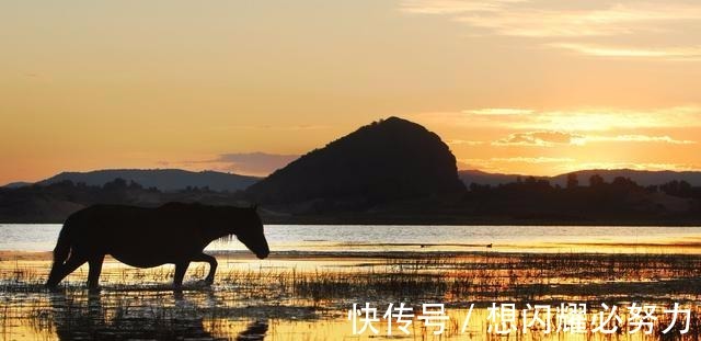 志之难$韩非子的思想精髓,牢记这4句话,受益一生!