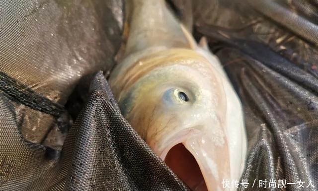水面|“呛水”真的能快速遛翻大鱼可能你一直理解错了