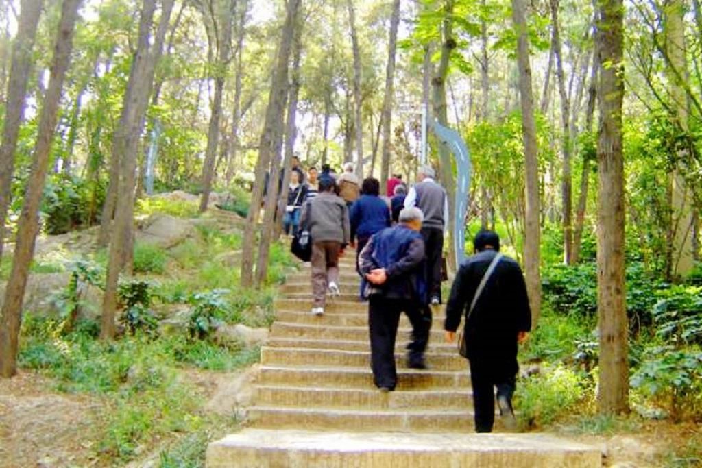  重阳节|重阳节为什么要登高呢？古代重阳节“登高”背后的寓意