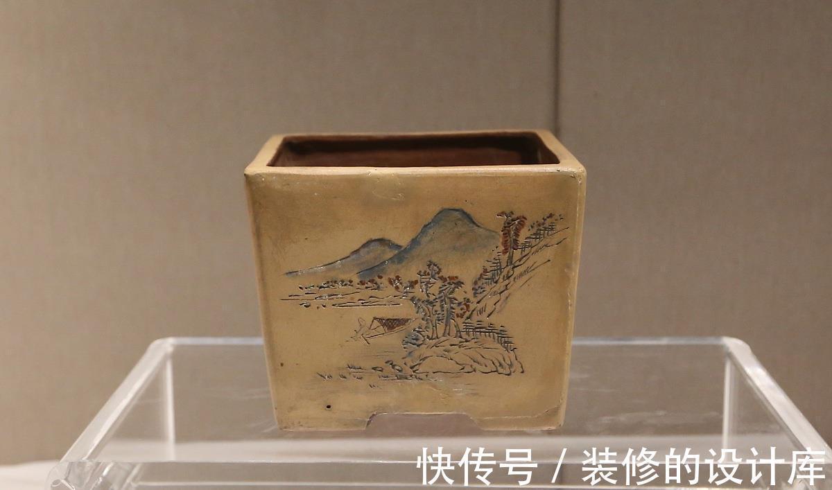 养殖|多肉花盆怎么选？使用3种花盆，加上正确养护，更容易养出好状态