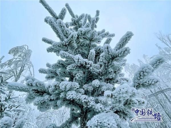 秦岭|这趟票价3元的“慢火车”，带你一路打卡冰雪世界