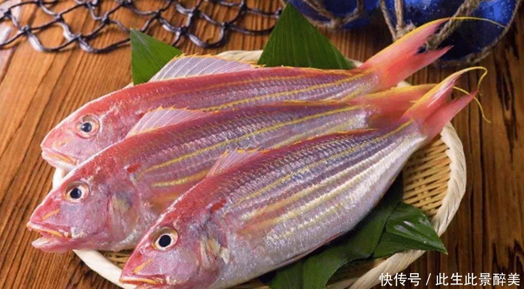 鱼肉|这6种海鱼既便宜又好吃,海鲜摊主看来是吃鱼的行家!