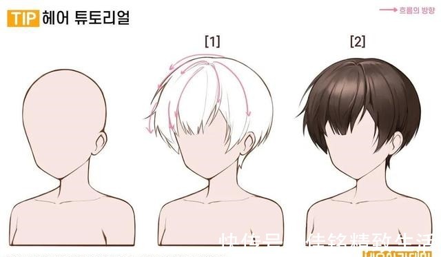 绘画 「绘画素材」多种人物发型画法参考!告别呆板发型~!