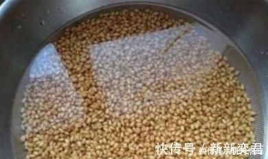 自制|除了煮、泡、发酵,还有这种方法,制作的麦粒,一粒麦子一条鱼