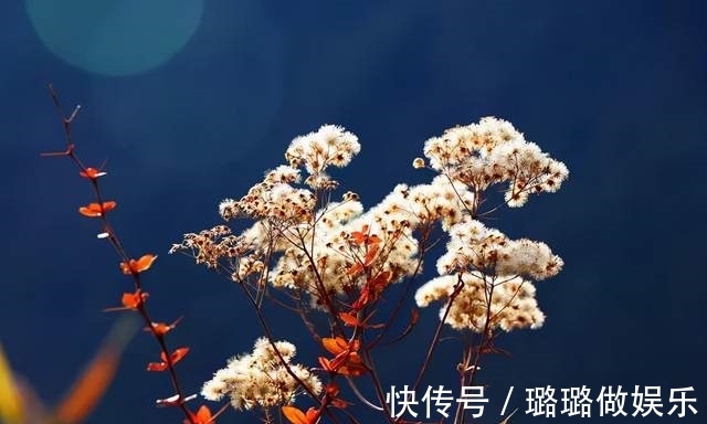 嘉绒|「丫巴寨」大山深处的嘉绒藏寨