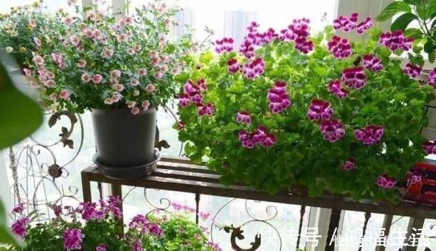 男性|女性膝关节比男性早“坏”10年？2个小动作，让膝盖多用30年！