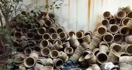 养花还在买花盆学会一招,再不用多花一分钱,一捡一大堆