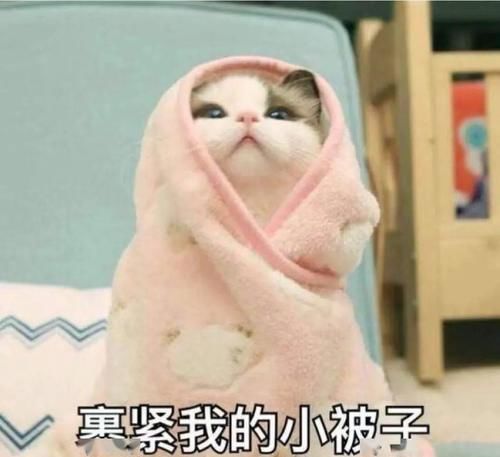 一碗牛肉丸河粉的热量