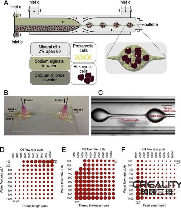 科学家用生物3d打印技术为干细胞工程提供细菌负载微凝胶 快资讯