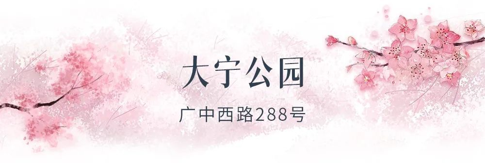 边境|叮咚，你有一份樱花海等待查收