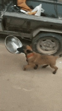 |搞笑GIF:据说刚化完妆的女生都是这样换衣服的