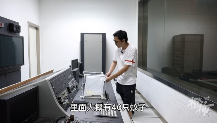 t恤|网红防蚊T恤，是智商税吗？