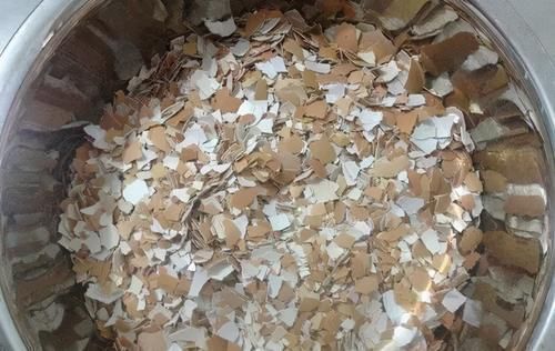 鸡蛋壳|拿到蛋壳别急着养花,按“这要求”处理,给植物施肥才不出问题