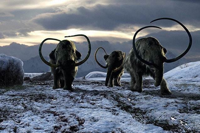 埃及|埃及人修金字塔时中国人在做什么?