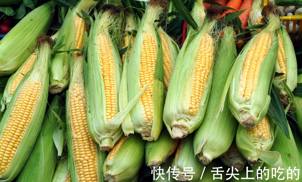 小苏打|煮玉米,只用清水是“外行”,多加2种配料,玉米更嫩,个个香甜