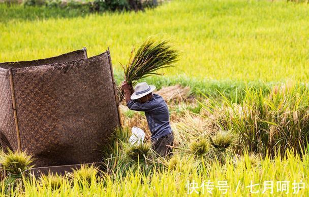 农历|六月立秋样样丢,七月立秋样样收,2021年是六月立秋还是七月立秋
