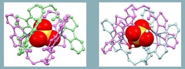 药物|陈根:自组装药物,有效针对癌细胞