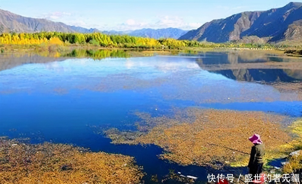 大板|钓鱼高手狂拉大板鲫有绝活,这10个字一年四季都受用——盛世三渔