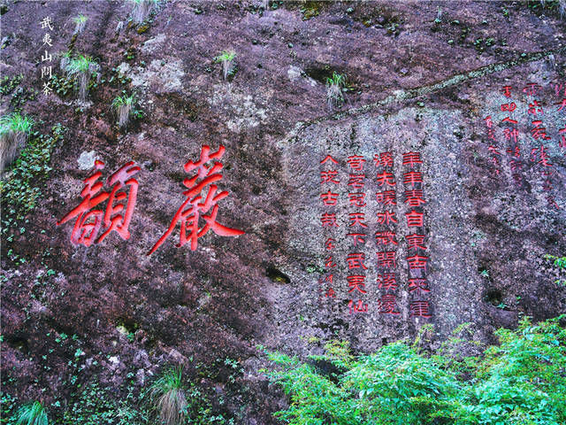 福建武夷山最有名的三棵树，不仅派兵专门看守，还投保了一个亿