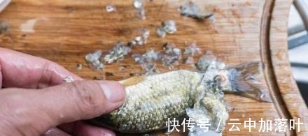 刺鲫鱼是怎么做学会不担心鱼刺卡喉咙，爱吃鱼的宝宝有福了！
