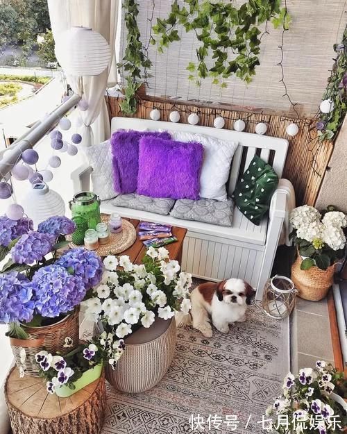 闲人|这样的阳台,那院子我也不换,美得太过分,今生只做个闲人了!