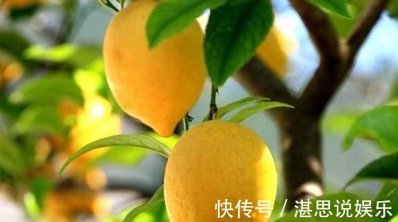 毒素|女性不要太节俭，多吃以下食物，排出毒素，补血益气，保护心血管