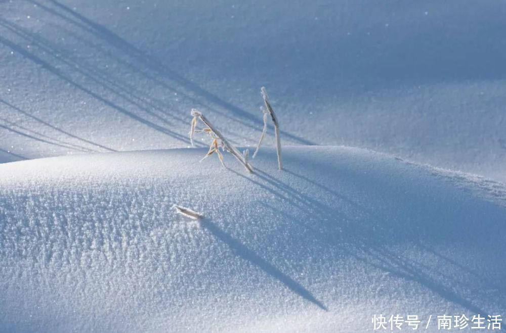 咏雪诗词！这9首咏雪诗词，不带一个雪字，却写尽雪之美！叹为观止