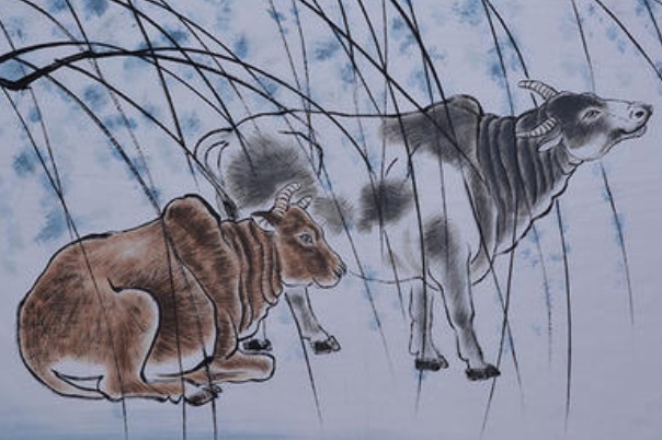 属兔|跟生肖兔天生一对,幸福到白头的生肖,老天爷都不忍心拆不散!